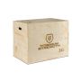 Titanium Strength Plyometrische Box (Holz)