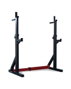 Titanium Strength Squat Rack / Dip Stand 